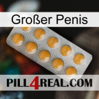 Großer Penis levitra1